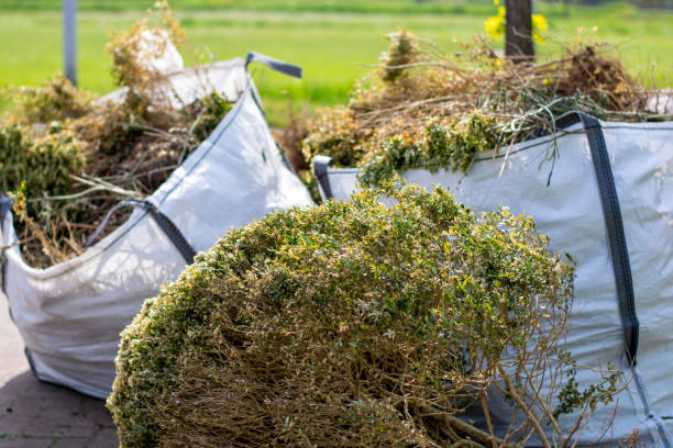 Best Commercial Junk Removal  in Odem, TX